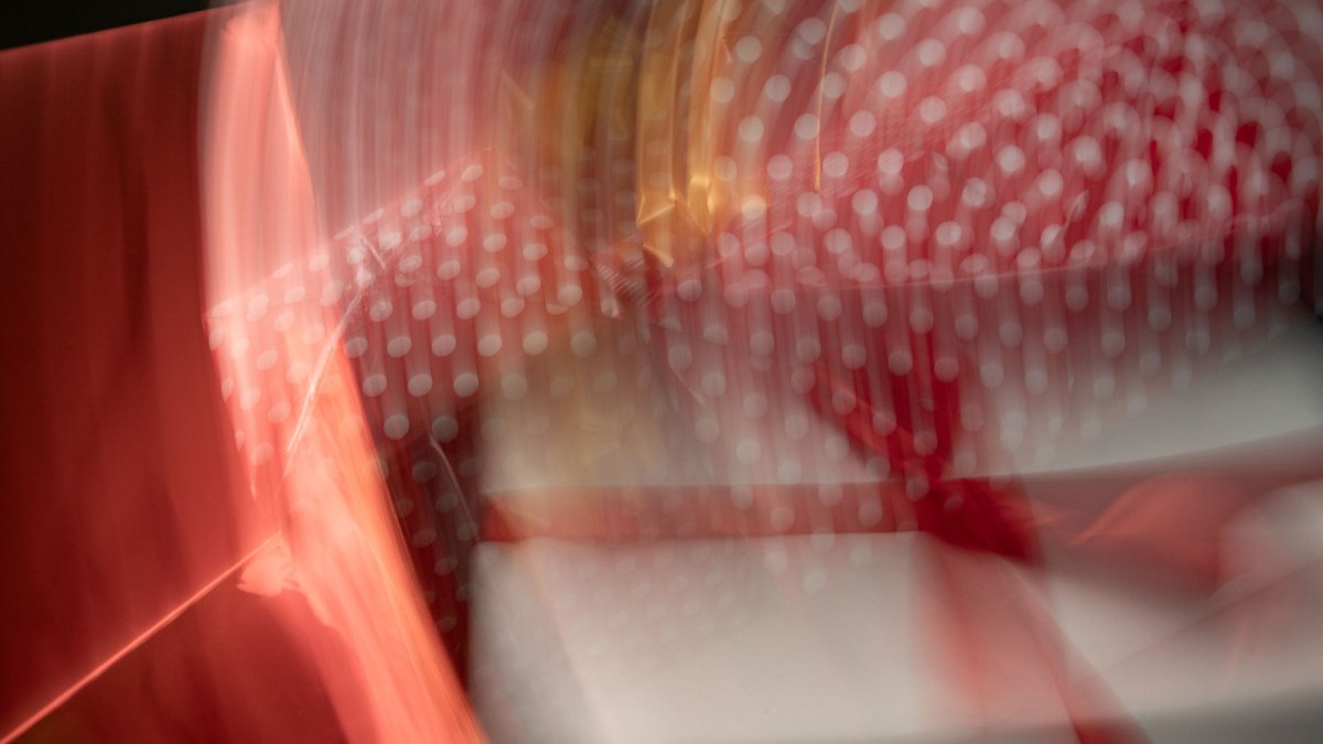 Más Vendidos Diciembre 2025 - BESTIAS