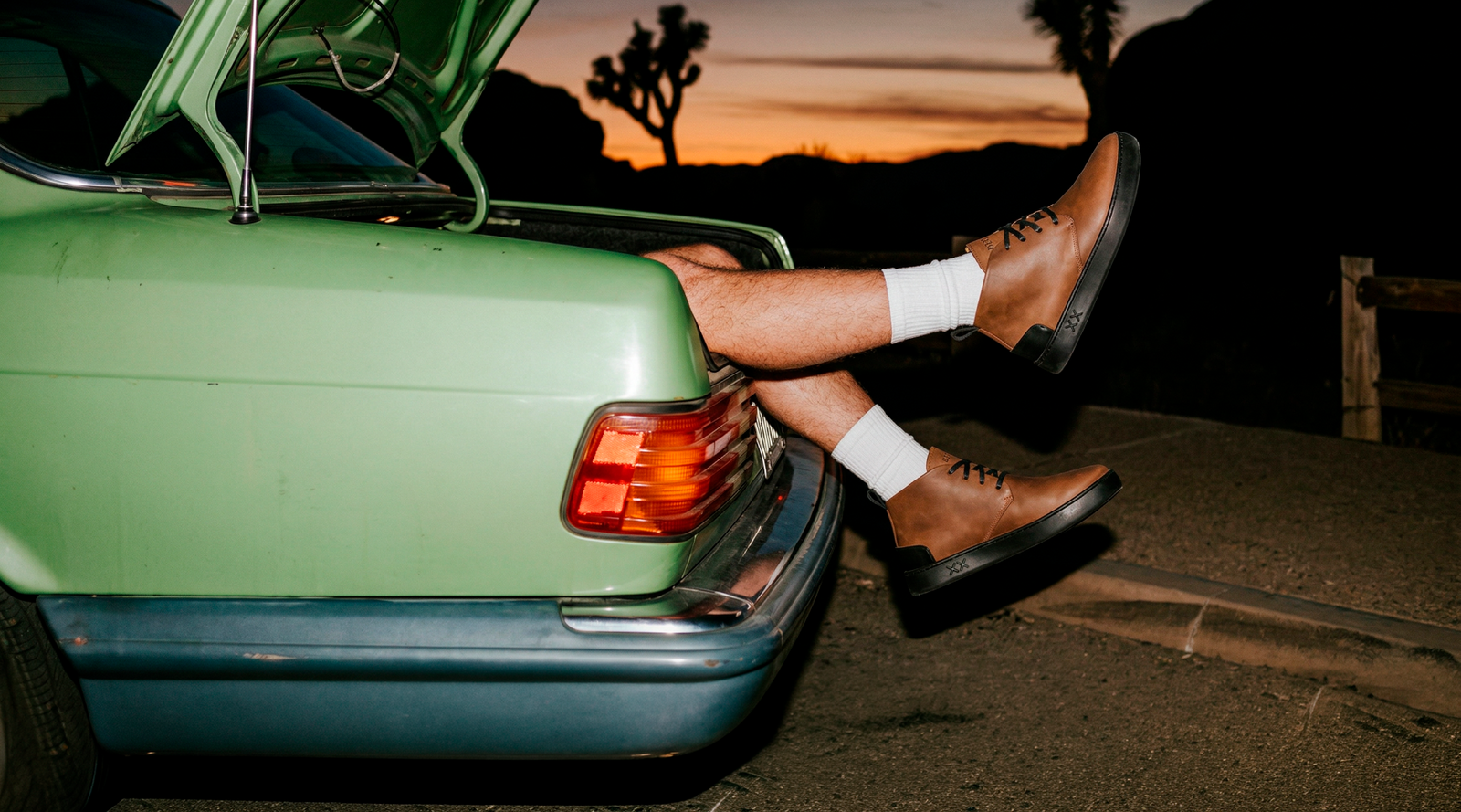 New Arrivals ♂ - BESTIAS