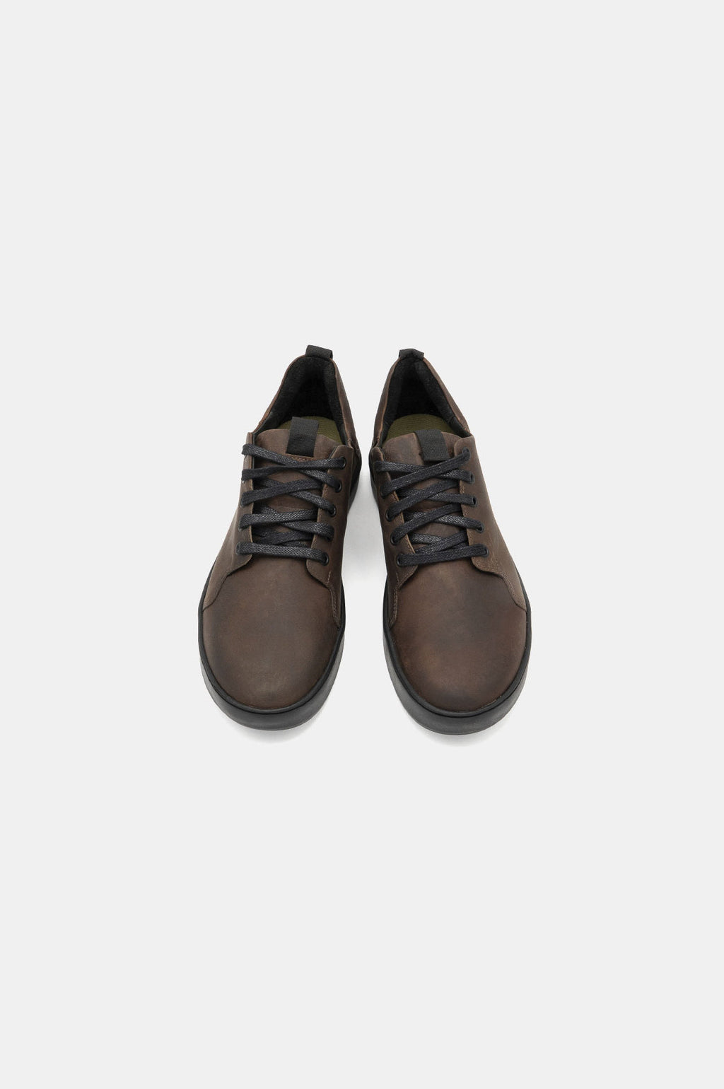 Monkey | Brown