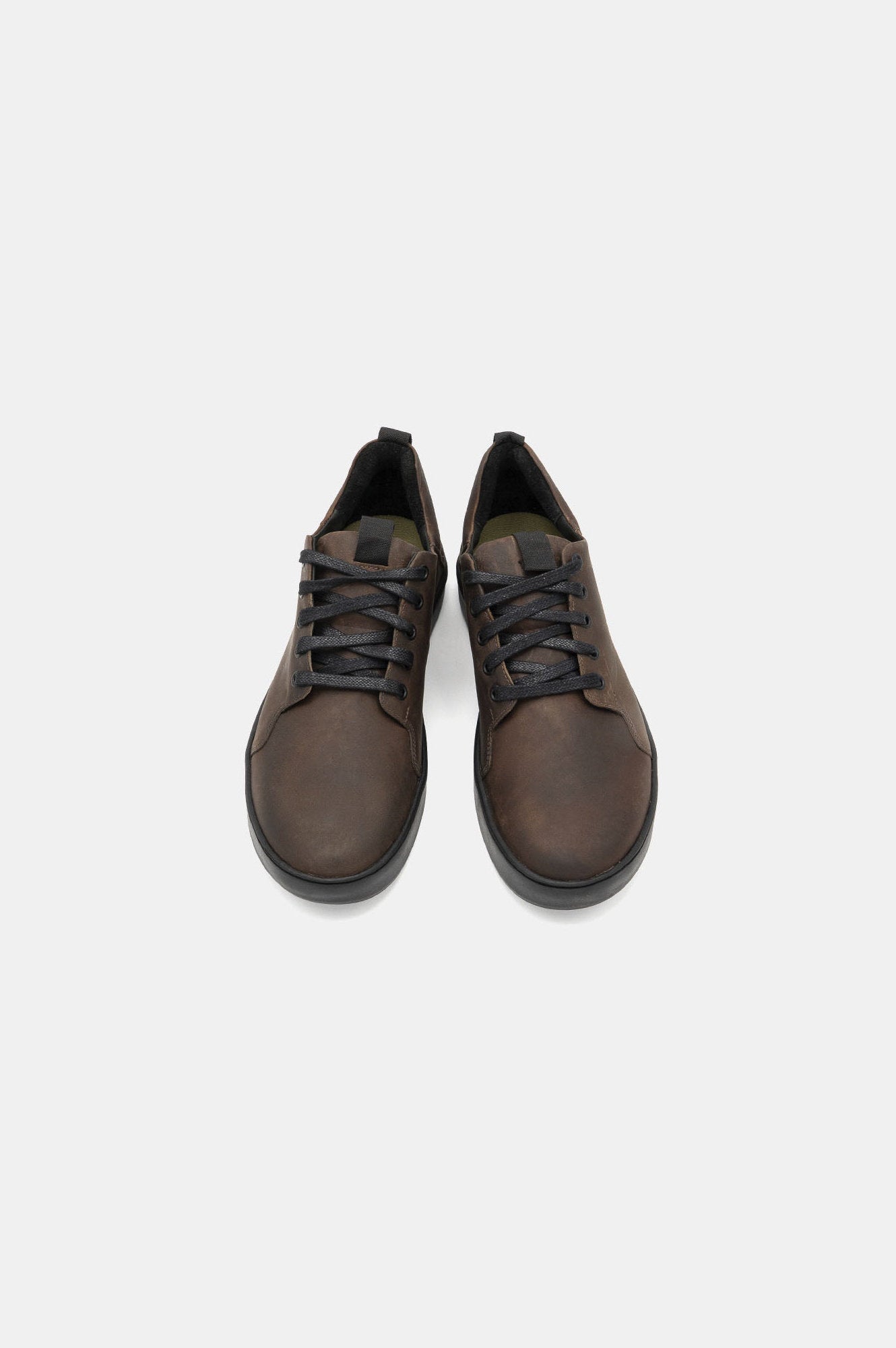 Monkey | Brown
