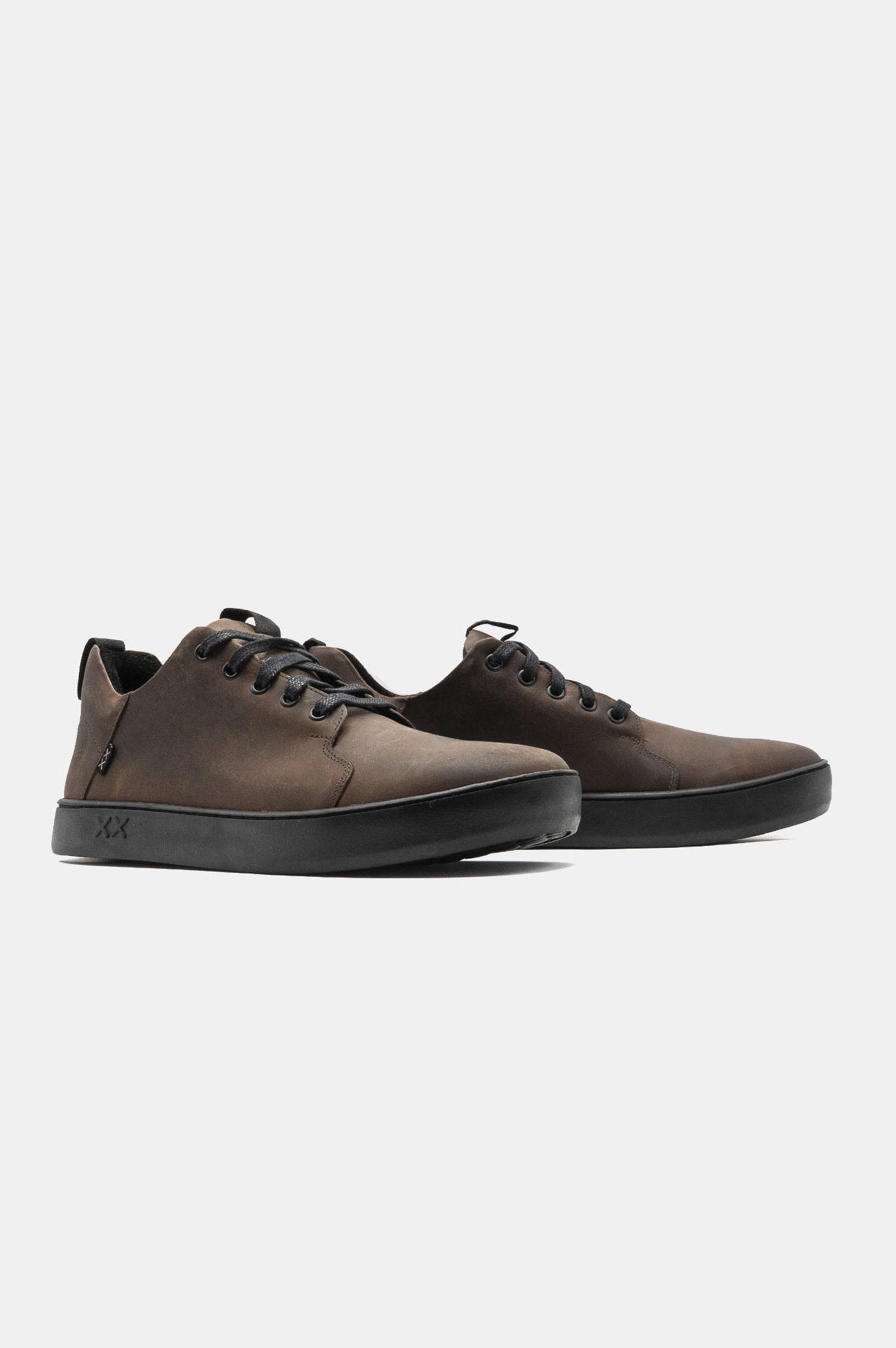 Monkey | Brown