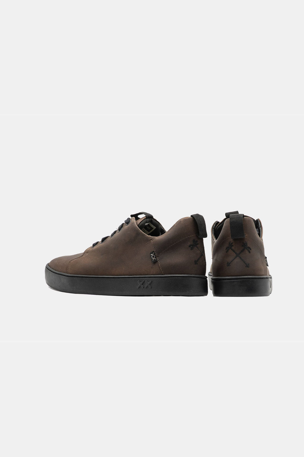 Monkey | Brown