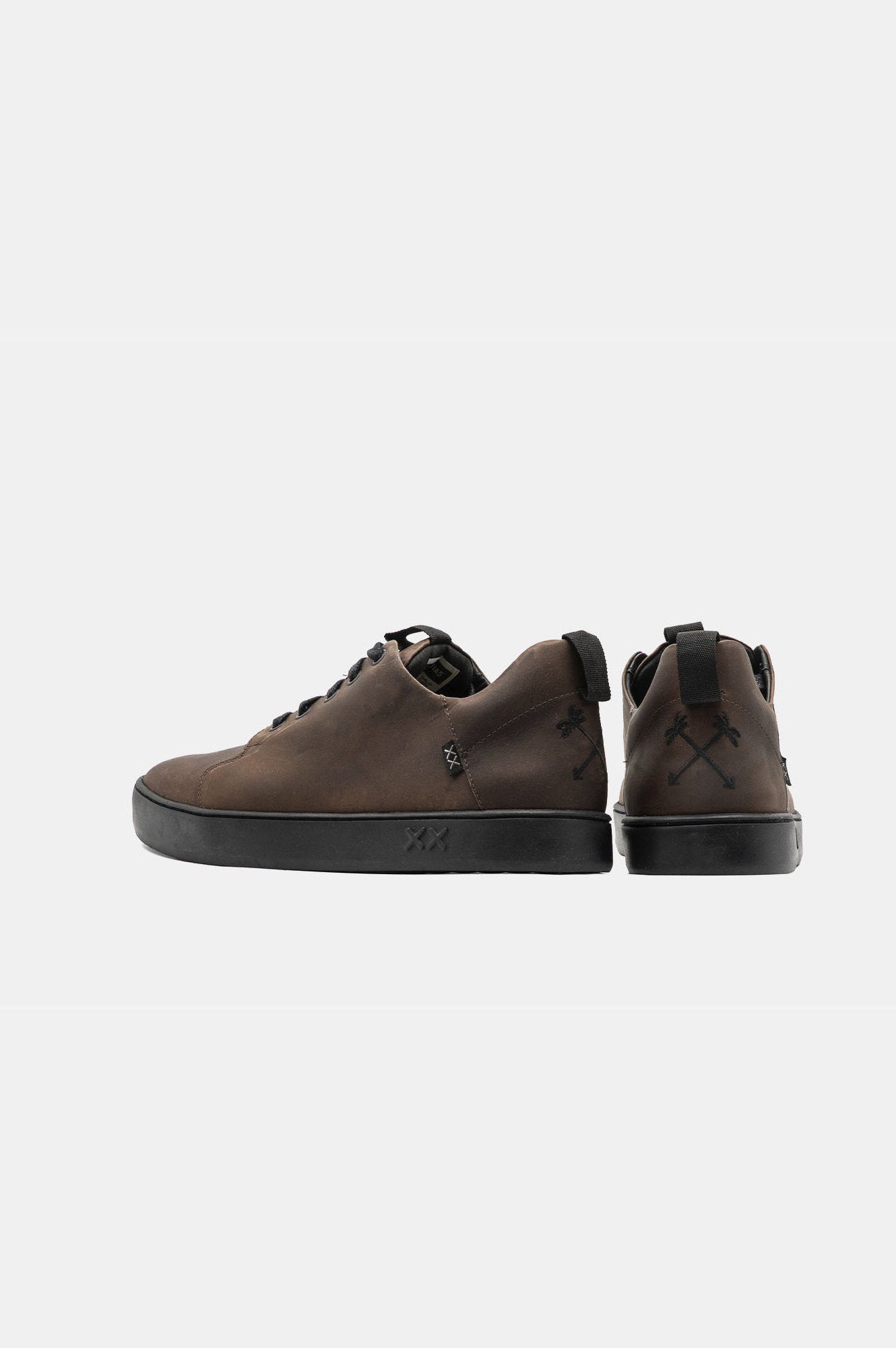 Monkey | Brown